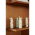 Afbeelding laden in Galerijviewer, LIEWOOD Falk Water Bottle 350 ml – Safari - Kids Plus