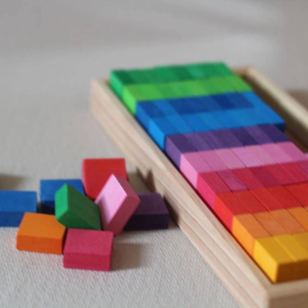 Bauspiel houten mozaïek blokken - 100-delig Kids Plus